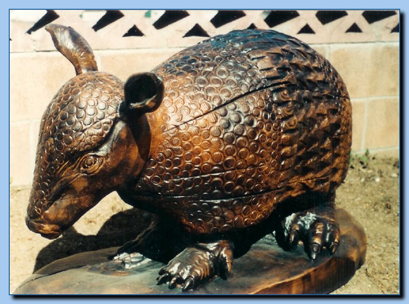 2-01 armadillo-archive